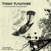 Download track Tyrant Flycatcher (Cheat Code Remix)