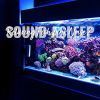 Download track Relaxing Fish Tank Noise, Pt. 9