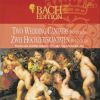 Download track Weichet Nur, Betrübte Schatten BWV 202 - VIII Recitativo