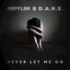 Download track Never Let Me Go (Radio Edit)