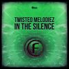 Download track In The Silence (Extended Version)