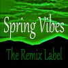 Download track Deep House Spring Vibe (Deejayfriendly Mix)