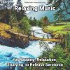 Download track Relaxing Music, Pt. 23