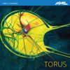 Download track Torus