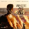 Download track Where Are We Going? (Instrumental Mix)