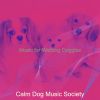 Download track Sultry Solo Piano Jazz - Vibe For Walking Doggies