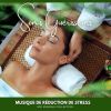 Download track Musique De Massage