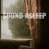 Download track Relaxing Snooze With Rainfall Sounds, Pt. 11