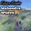 Download track Future Flower