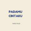 Download track Padamu Cintaku