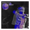 Download track Perfection (Pierre Deutschmann Remix)