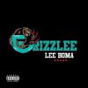 Download track Grizzlee