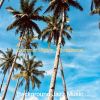 Download track Cultivated Music For Summer Days - Vibraphone