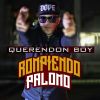 Download track Rompiendo Palomo