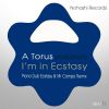 Download track I'm In Ecstasy (Mr Campo's Ecstasy)