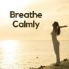 Download track Calm Zen Meditation, Pt. 10