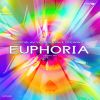 Download track Euphoria (Radio Edit)