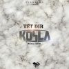 Download track Tét Dir