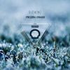 Download track Frozen Grass (2Bodies Remix)