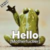 Download track Hello (Motherfucker)