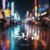 Download track 这些年的风雨 (伴奏)