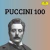 Download track Turandot, Act I: Puccini: Turandot, Act I: Non Piangere, Liù