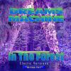 Download track In The Forest (Electricversions)