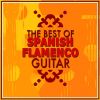 Download track Flamenco Bar