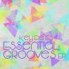 Download track Essential Grooves