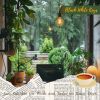 Download track Muted Rains Rustic Charm