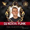 Download track Get The Party Started (DJ Kolya Funk Re-Boot)