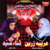 Download track Meeran Waliyun Ke Imam