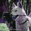 Download track Funky Ambiance For Lonely Dogs