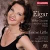 Download track Violin Concerto In B Minor Op. 61 - III. Allegro Molto