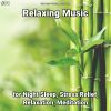 Download track Relaxing Music, Pt. 30