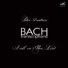 Download track Prelude And Fugue In G Minor, BWV 535: No. 1, Prelude