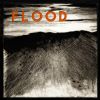 Download track Flood