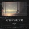 Download track 你是我捡到的光 (忧郁女声版)