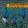 Download track Sou O Caminho, A Verdade E A Vida