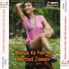 Download track Hum Ta Dueya Prani