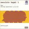 Download track String Quartet III Allegro