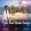 Download track Pyar Tenu Karda Soniye