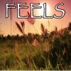 Download track Feels - Tribute To Calvin Harris, Pharrell Williams, Katy Perry And Big Sean