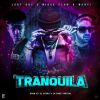 Download track Trankila