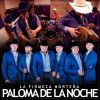 Download track Paloma De La Noche (En Vivo)