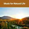 Download track Match Your Nature With Nature