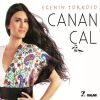 Download track Evlerine Ben Varamadım Da Tavşandan