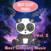 Download track Sleeping Softly (Best Sleep)