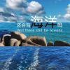 Download track 还会有海洋吗 (伴奏)