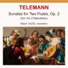 Download track Sonata No. 3 In A Major, TWV 40103 III. Andante (Arr. For 2 Mandolins In D Major)